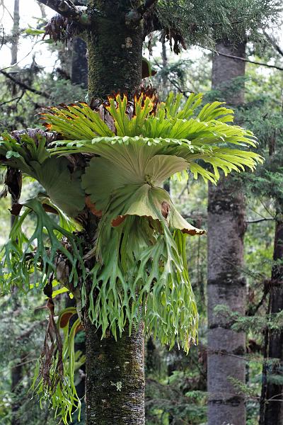 2007 05 14 Fraser Island 180_DXO.jpg